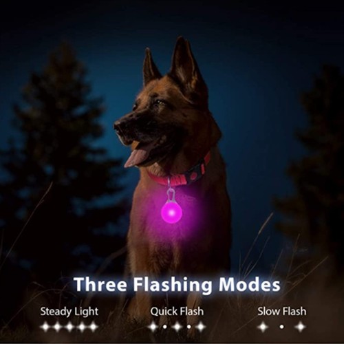 Usb rechargeable led dog - rechargeable,