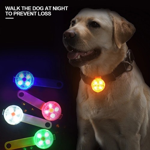 Usb rechargeable led pet - usb,