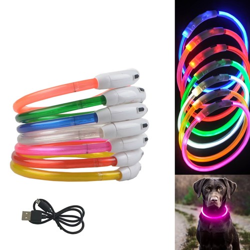 Led glowing dog - dog, collar