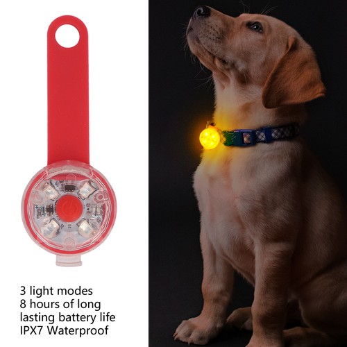 Rechargeable led dog collar - rechargeable,