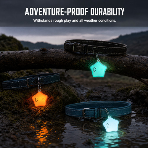 Pet flashing collar light - collar,