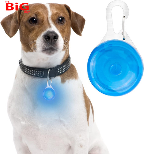 Dog light flashing led - dog,