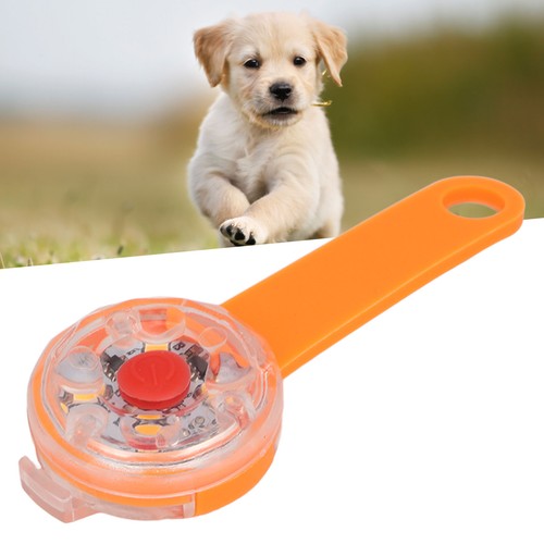 Aled dog light pendant usb - —aled,
