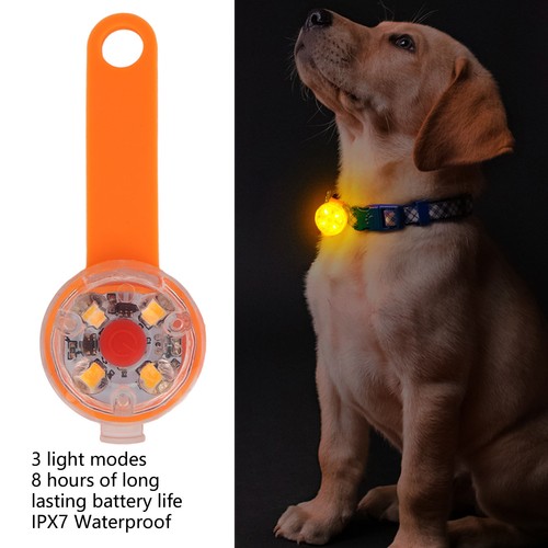 Orange led dog - led, light