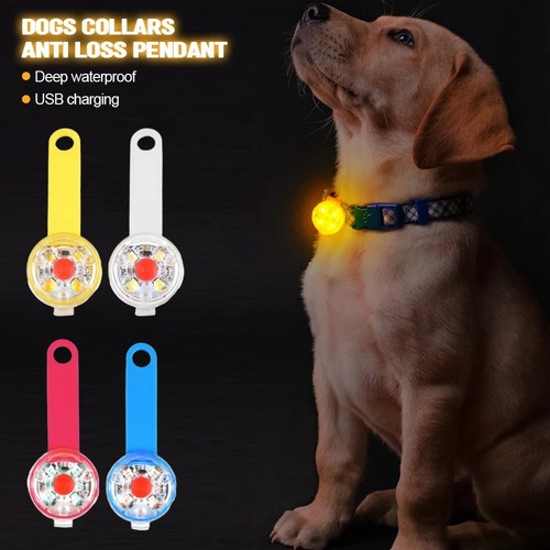 Usb rechargeable led pet - usb,