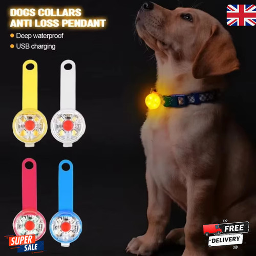 Dog anti loss led - led, safety