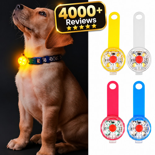 Dog anti loss - anti-loss, safety