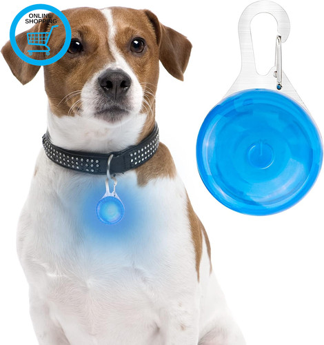 Dog light flashing led - flashing,