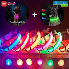 LED Dog Collar With Pendant