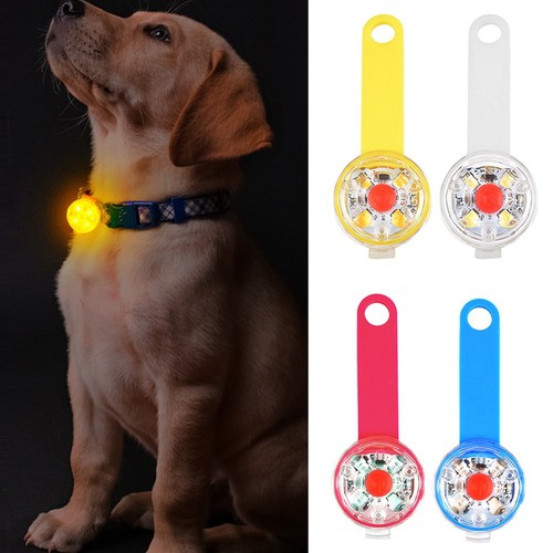 Dog anti loss led - led, safety