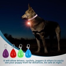 Pet LED Collar Light - USB