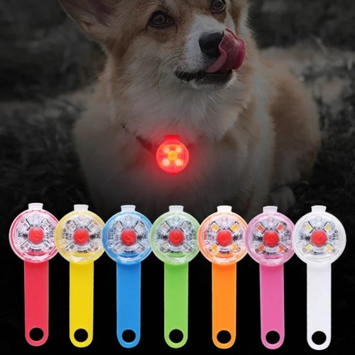 Rechargeable dog collar - dog,