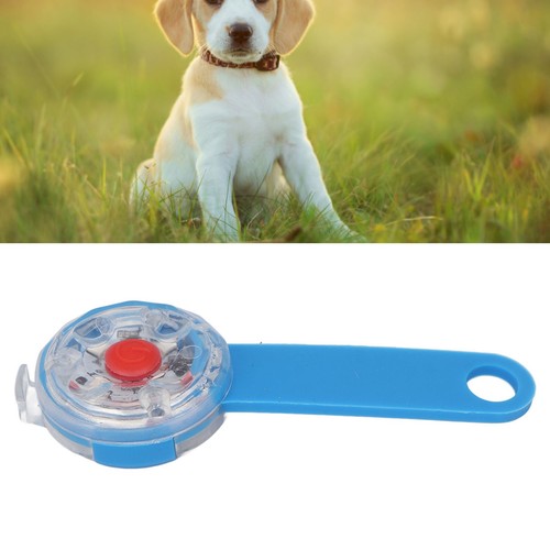 Led dog light pendant - light,