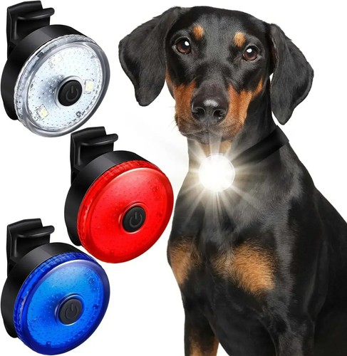 Led dog collar - collar, usb