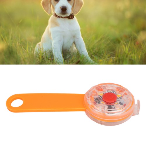 Aled dog light pendant - aled,